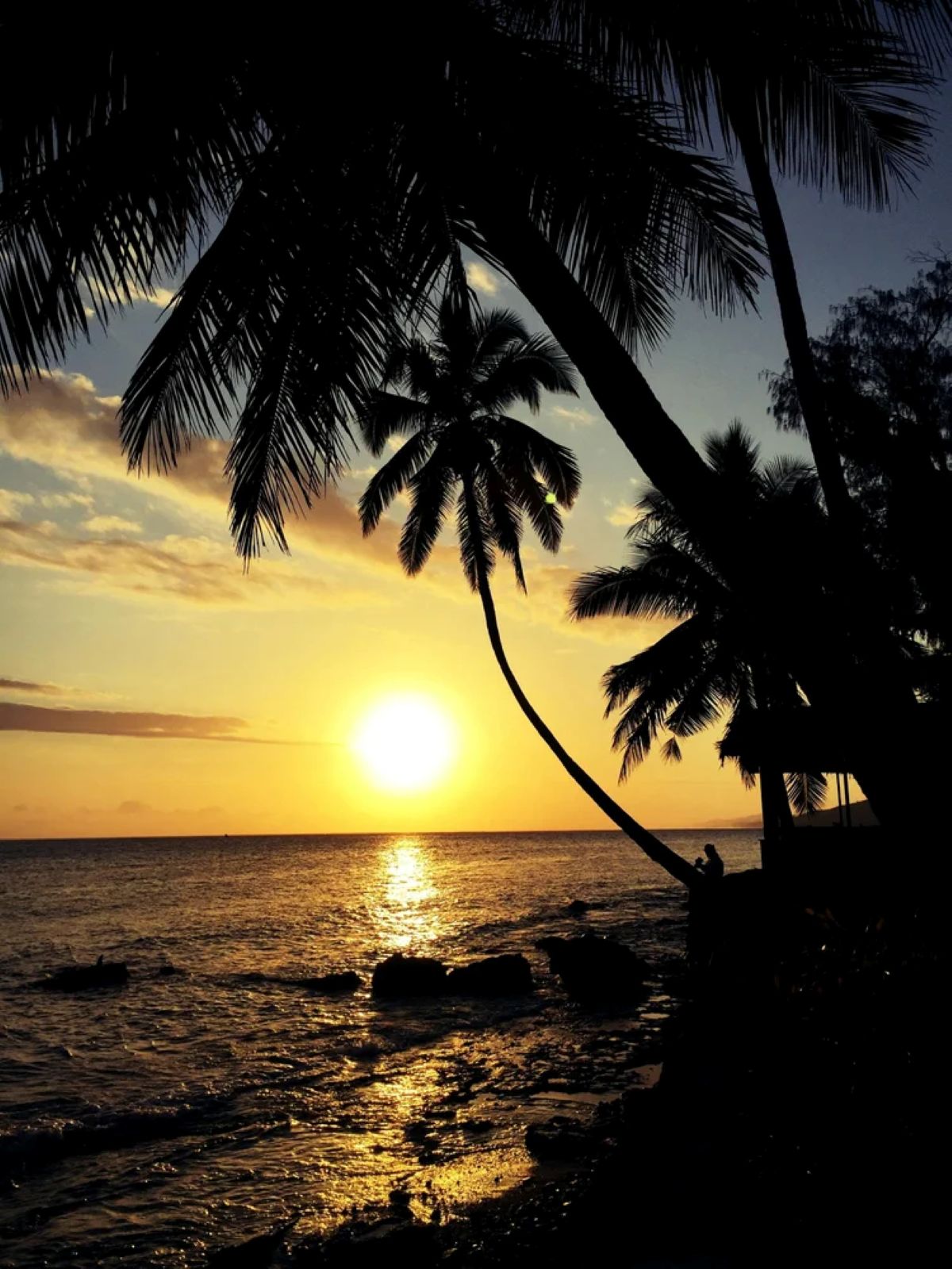 FIDJI, MOOREA ET BORA BORA